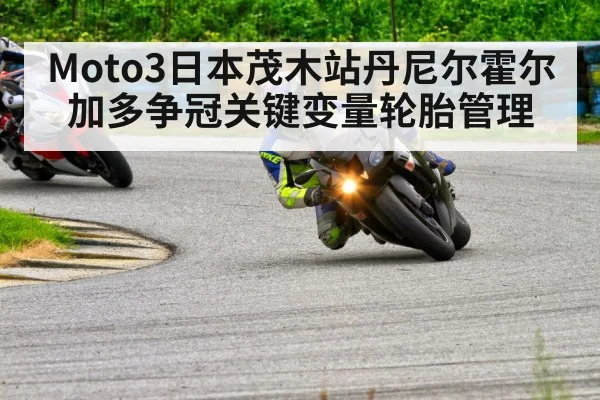 Moto3日本茂木站丹尼尔霍尔加多争冠关键变量轮胎管理